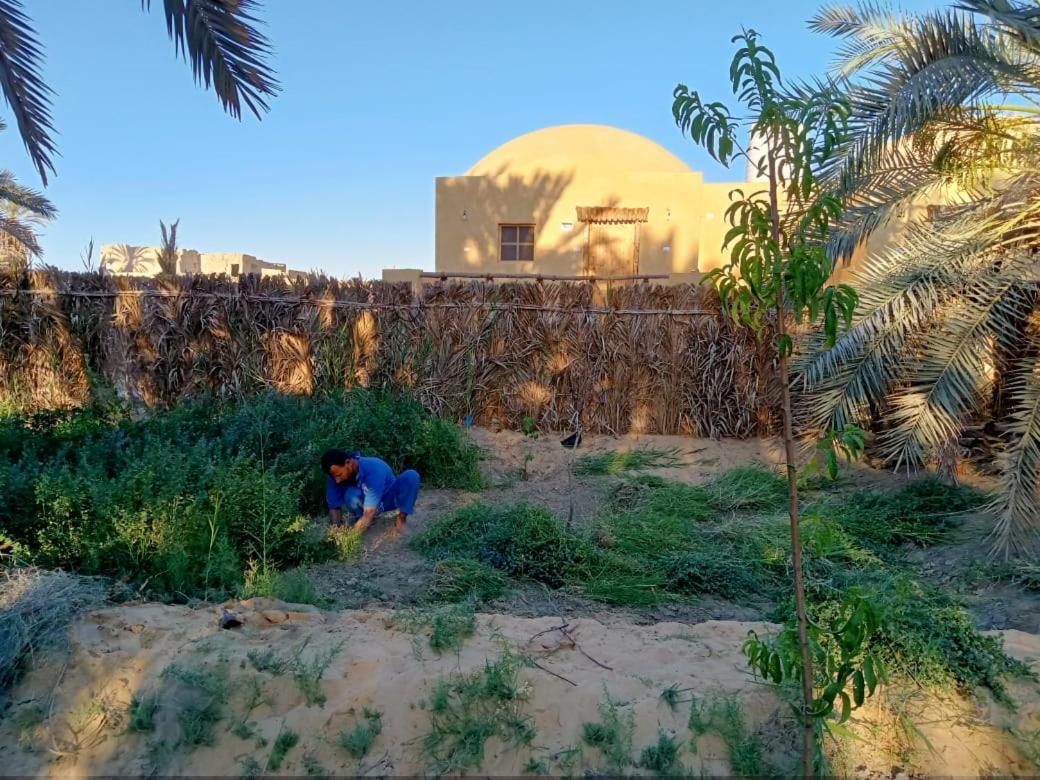 Wafla Villa Siwa Oasis Eksteriør billede