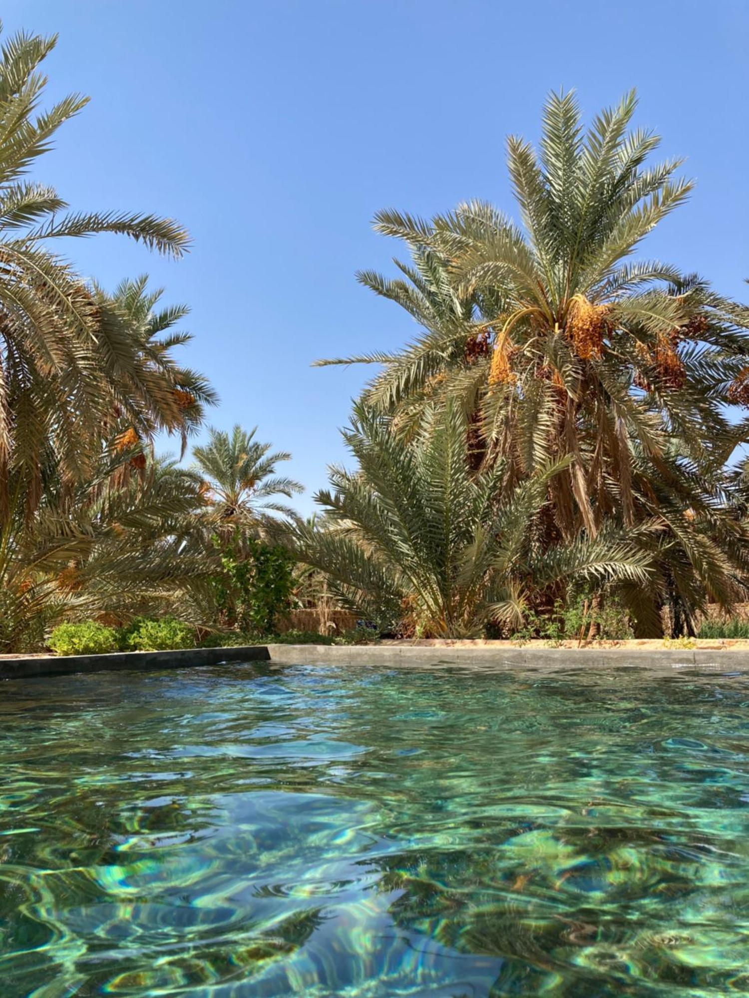 Wafla Villa Siwa Oasis Eksteriør billede