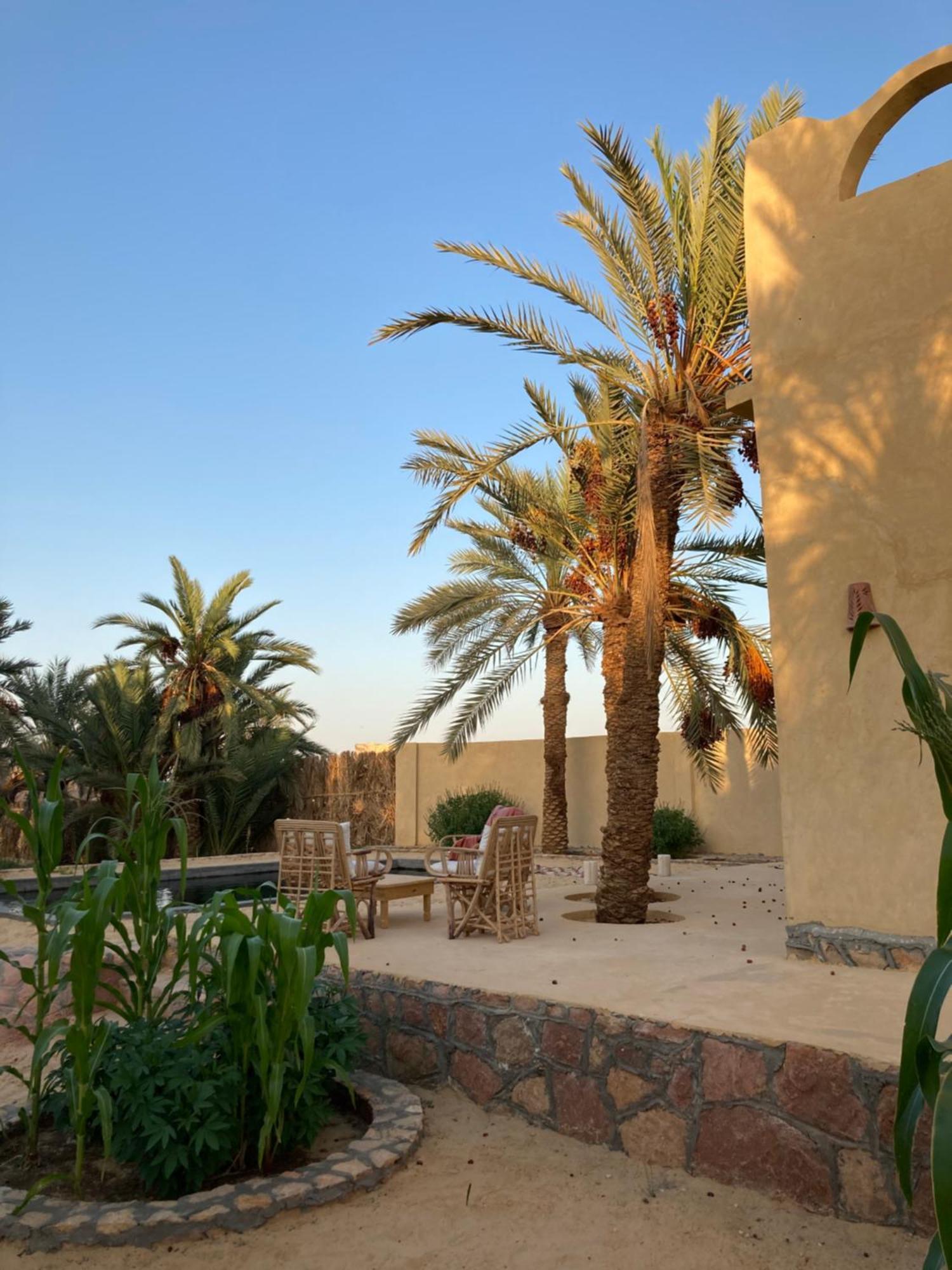 Wafla Villa Siwa Oasis Eksteriør billede