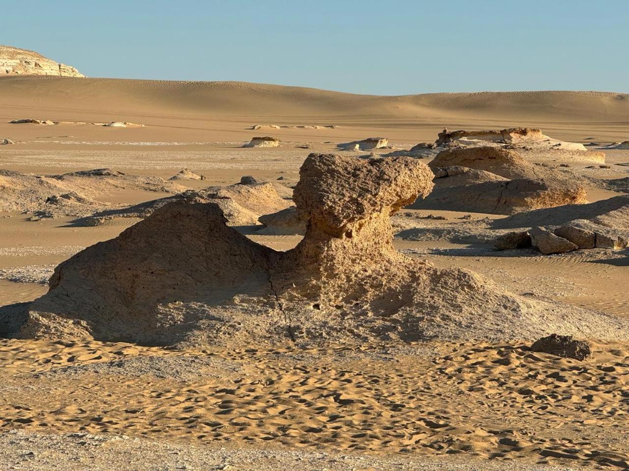 Wafla Villa Siwa Oasis Eksteriør billede